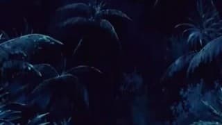 Blonde Fucked in shower