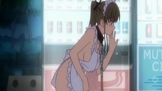 Walking On A Leash Outdoors